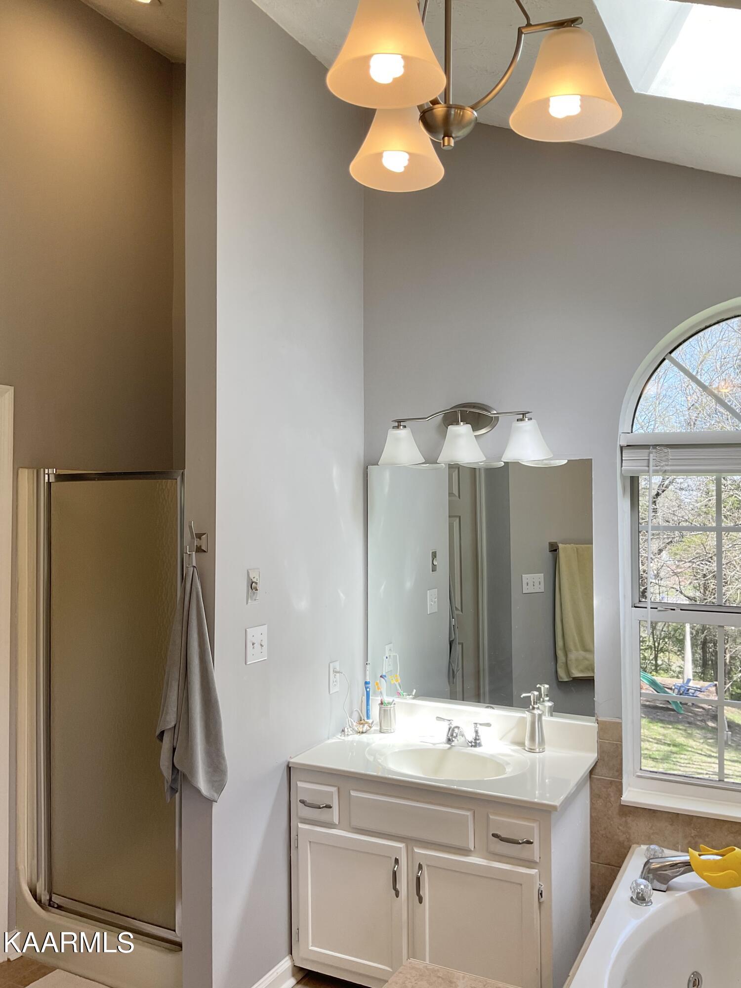 106 Targa Lane Oak Ridge, TN 37830 - Photo 20 of 37 Vaulted ceiling & skylight