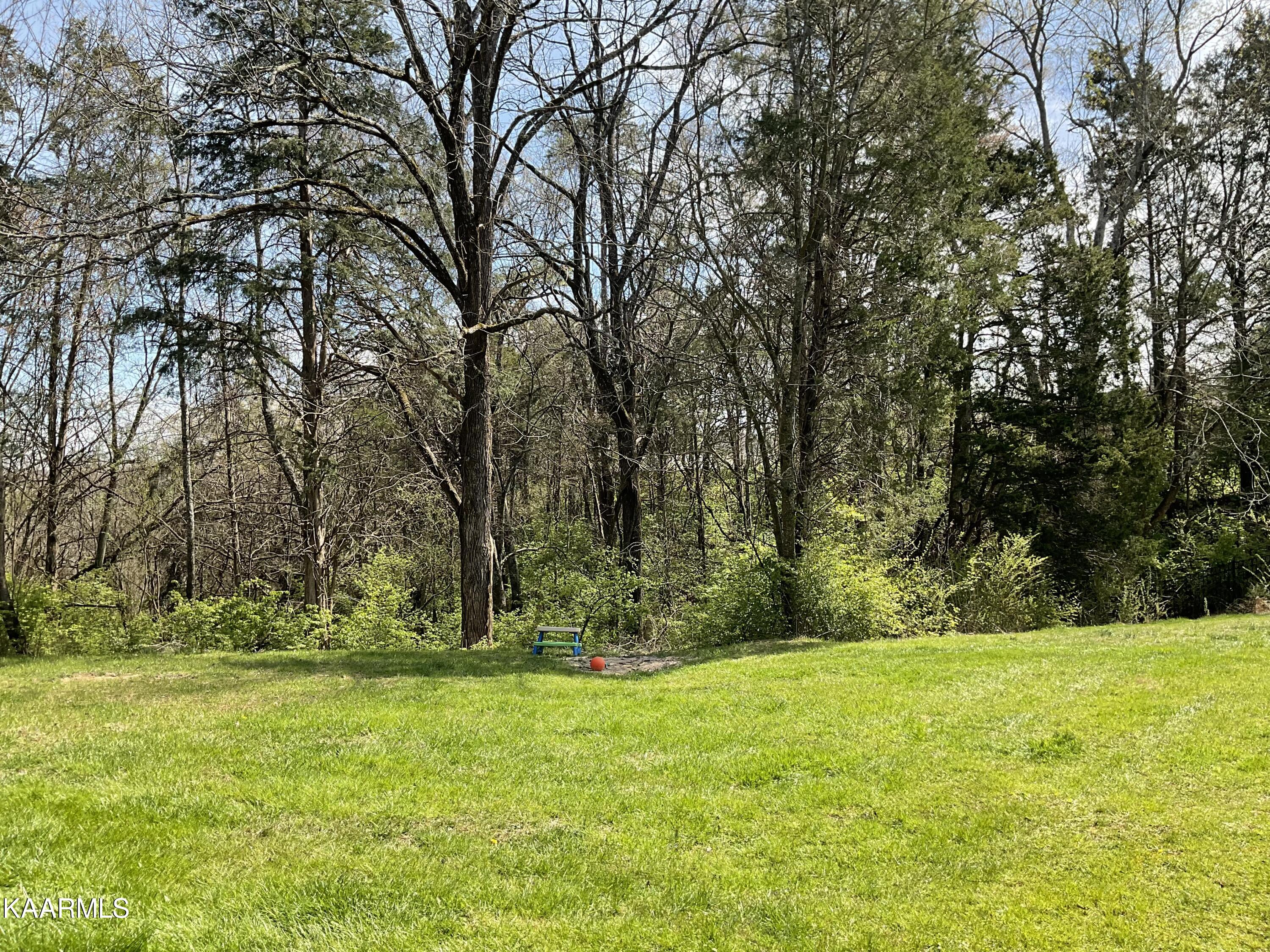 106 Targa Lane Oak Ridge, TN 37830 - Photo 36 of 37 Private w/ woods