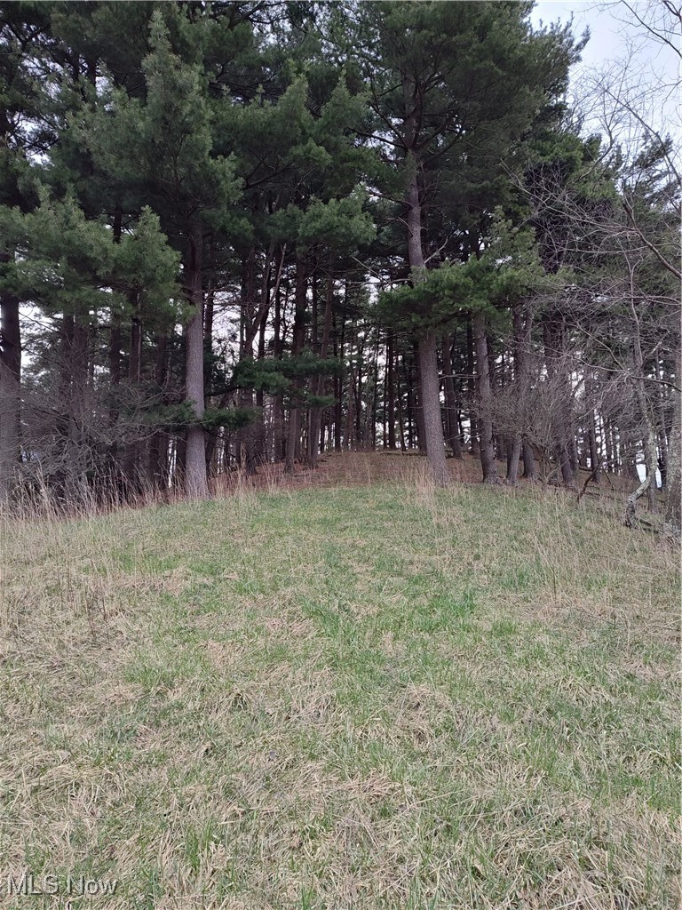 Fargo Road Southwest Mineral City, OH 44656 - Photo 8 of 21
