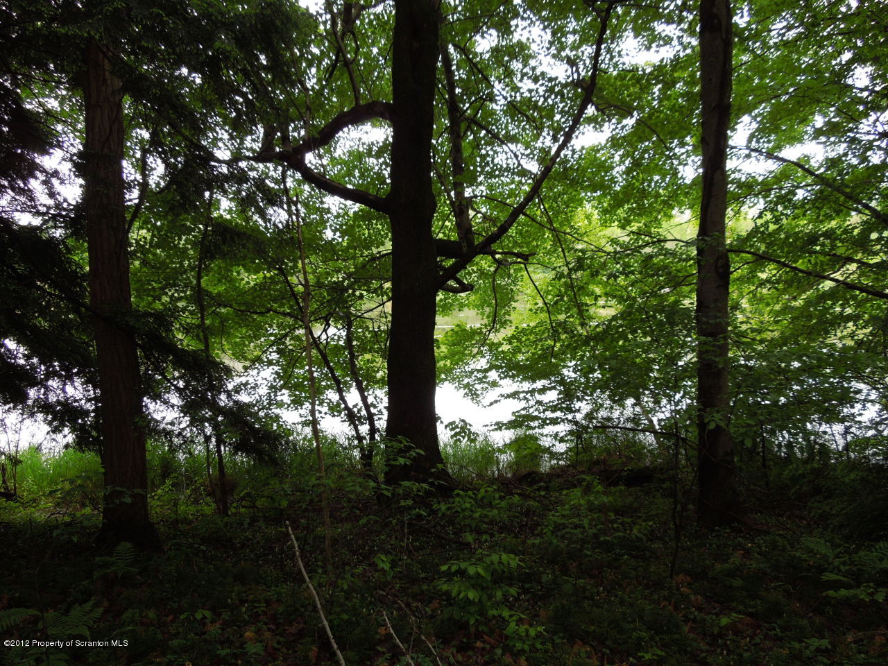 125 Henry-Holod Road Factoryville, PA 18419 - Photo 4 of 9 land2