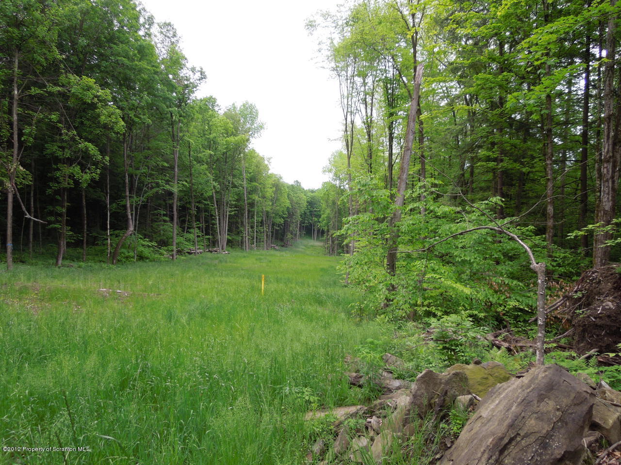 125 Henry-Holod Road Factoryville, PA 18419 - Photo 8 of 9 land6