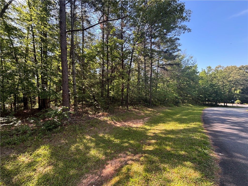 Lot 46 Princess Tree Way Sunset, SC 29685 - Photo 1 of 3
