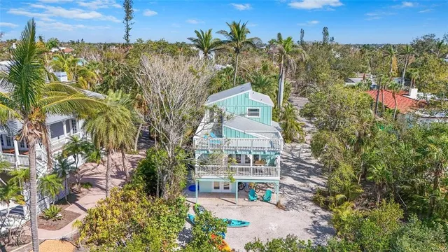 a view of a yard with plants and large trees
