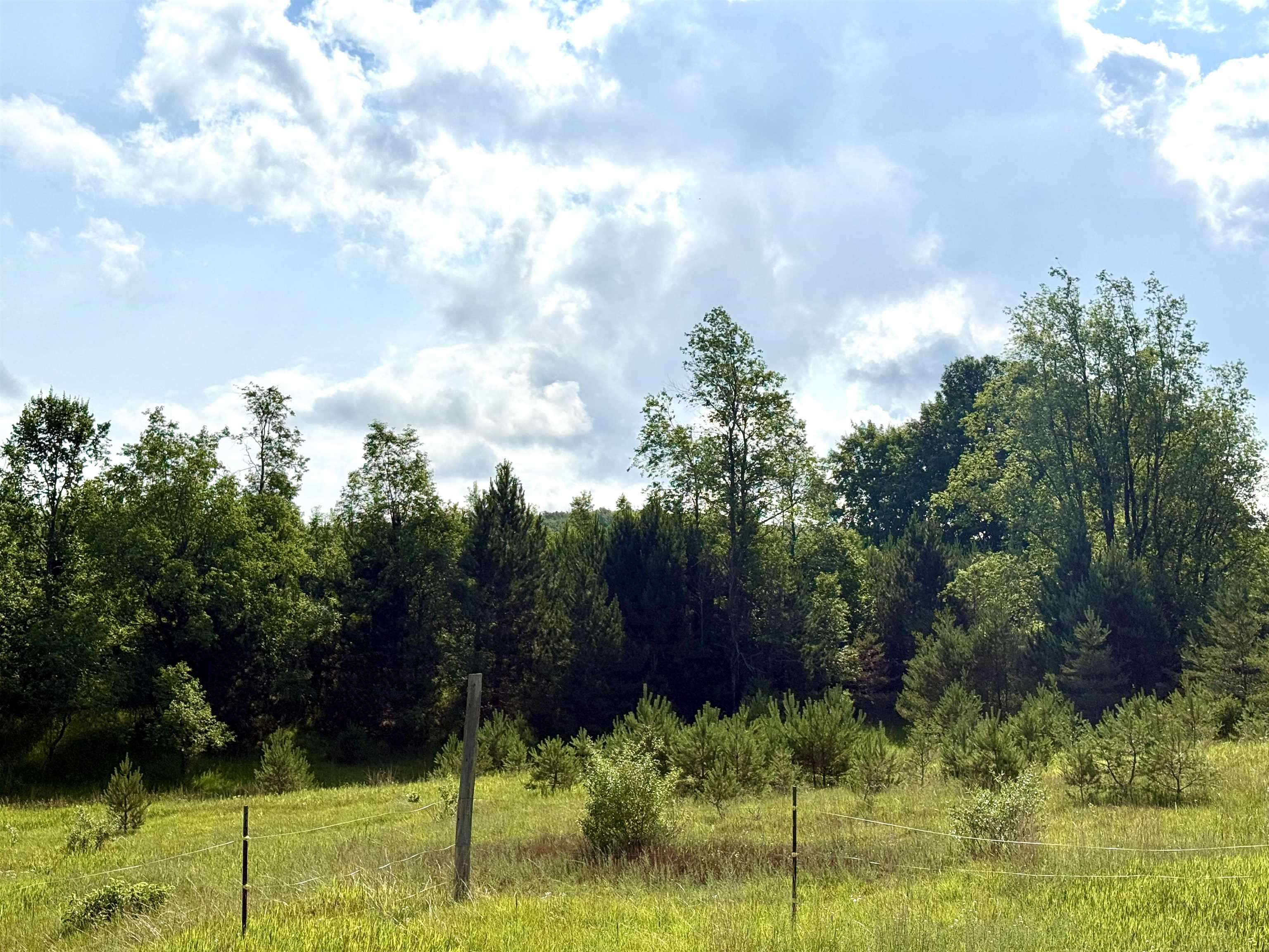 0 North 25 Road Mesick, MI 49668 - Photo 6 of 13
