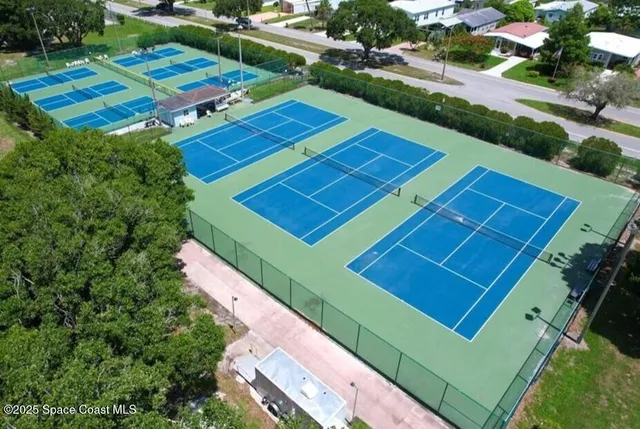 an aerial view of a tennis ground with a large trees