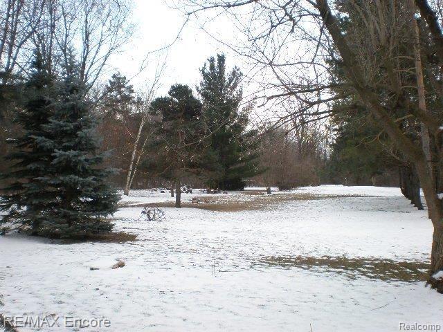 2475 Mann Road Waterford, MI 48329 - Photo 2 of 10 BACK VIEW OF 2 ACRES DEEP LOT.jp