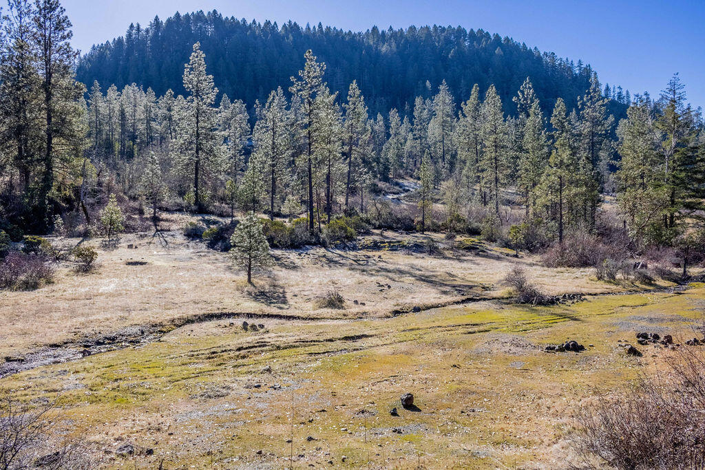 0 Waldo Road, Unit 403 Cave Junction, OR 97523 - Photo 16 of 17