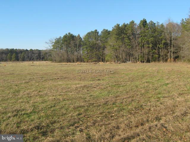 5852 Eldorado Sharptown Road Rhodesdale, MD 21659 - Photo 17 of 24 Gallery Image 17