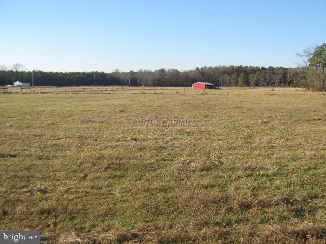 5852 Eldorado Sharptown Road Rhodesdale, MD 21659 - Photo 18 of 24 Gallery Image 18