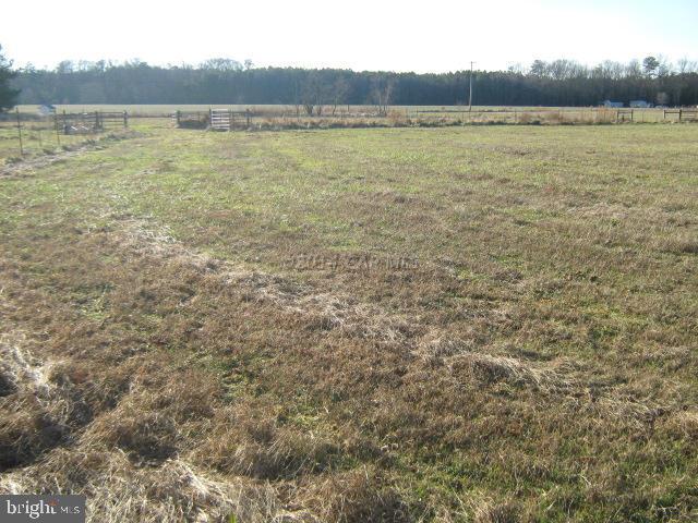 5852 Eldorado Sharptown Road Rhodesdale, MD 21659 - Photo 19 of 24 Gallery Image 19