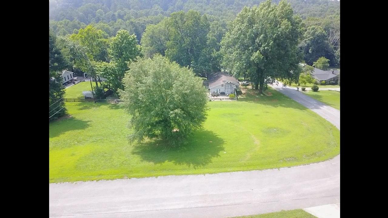 Hillvale Road Louisville, TN 37777 - Photo 5 of 6 IMG_0346
