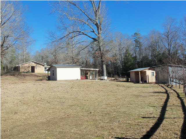 314 South O Williams Road Carthage, MS 39051 - Photo 6 of 15 Photo 6
