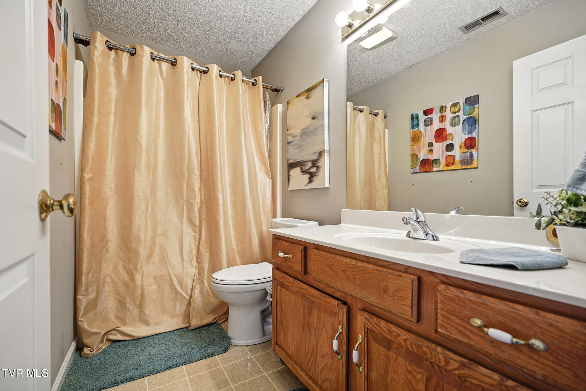 152 Gray Station Road, Unit 41 Gray, TN 37615 - Photo 20 of 23 dsc00233