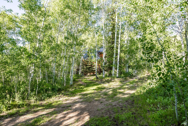 0 Weber Wild Road, Unit MV29 Kamas, UT 84036 - Photo 40 of 62