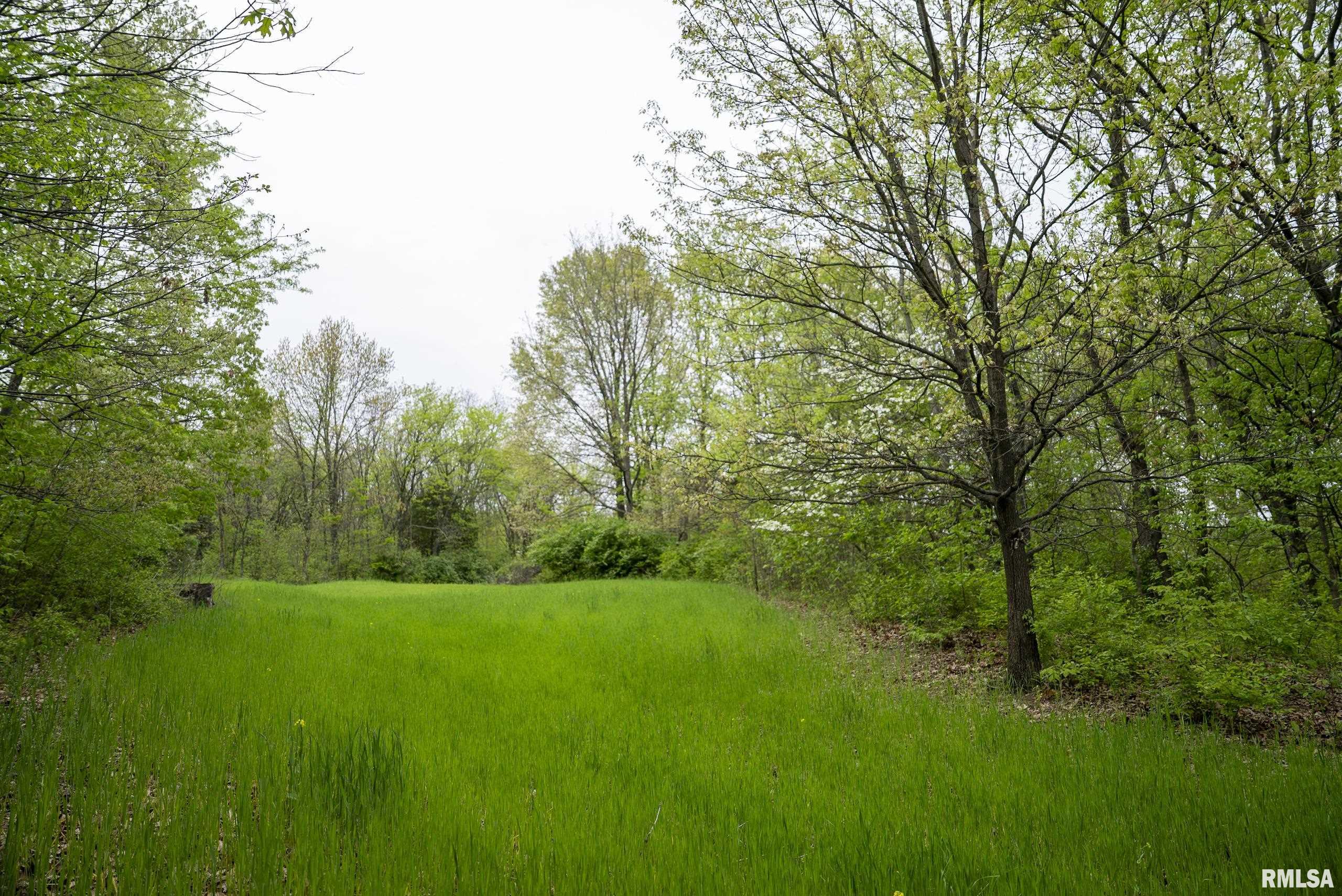 0 Bee Creek Road Pearl, IL 62361 - Photo 21 of 37 Gallery Image 21