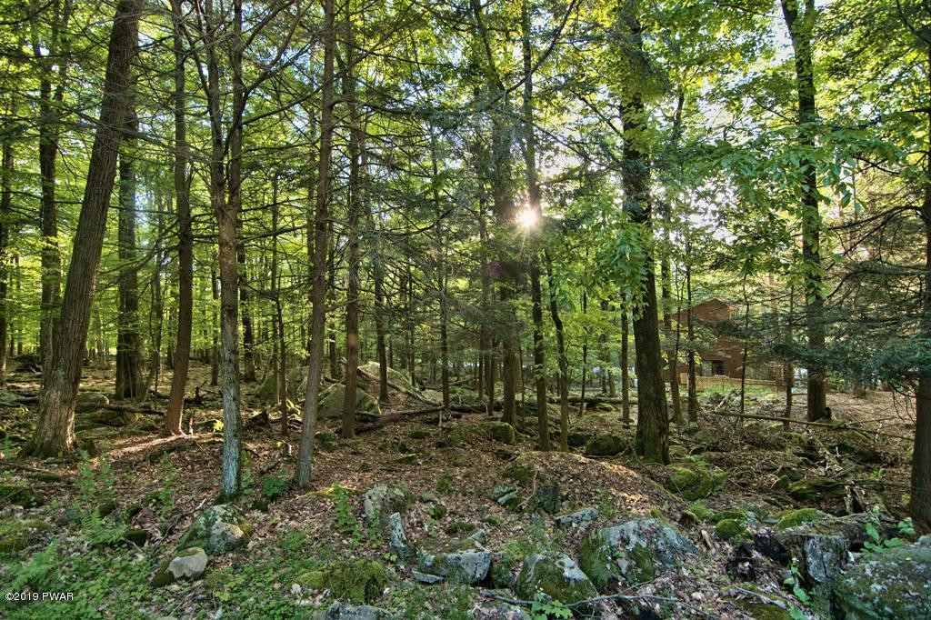 3305 Northgate Road Lake Ariel, PA 18436 - Photo 49 of 57 Photo 49
