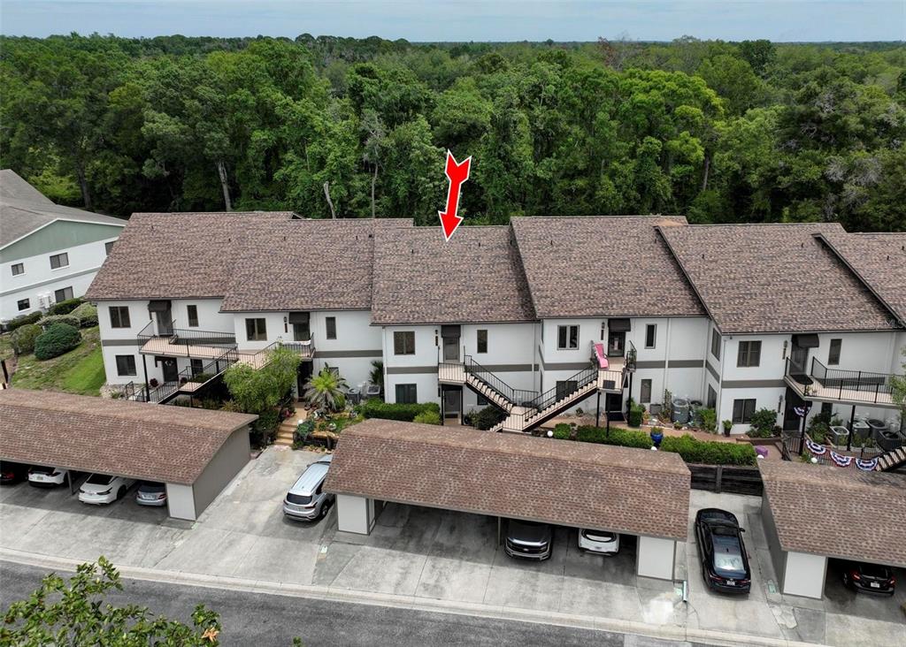 7032 River Run Boulevard Weeki Wachee, FL 34607 - Photo 33 of 38