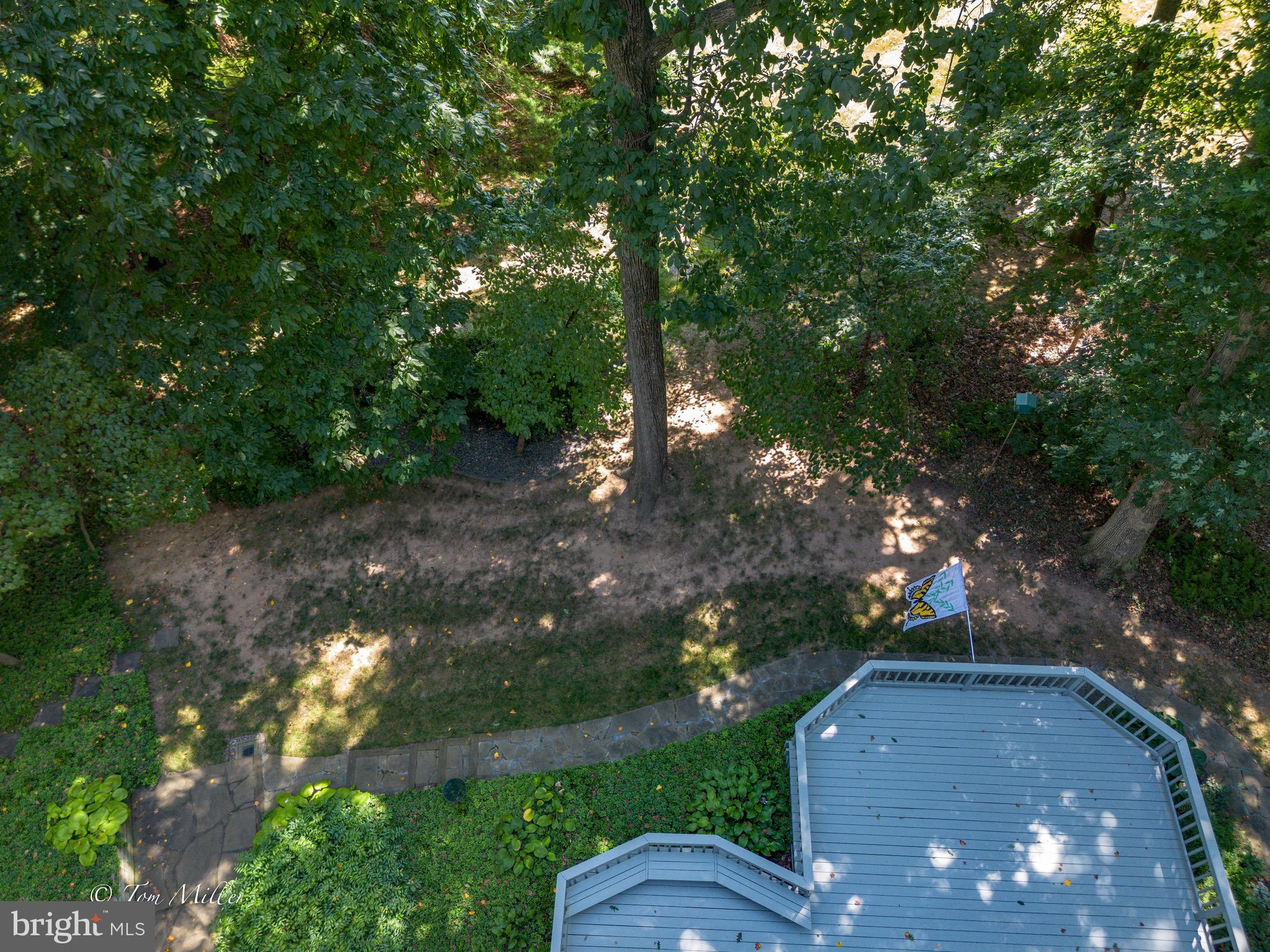14109 Robcaste Road Phoenix, MD 21131 - Photo 10 of 55 Backyard