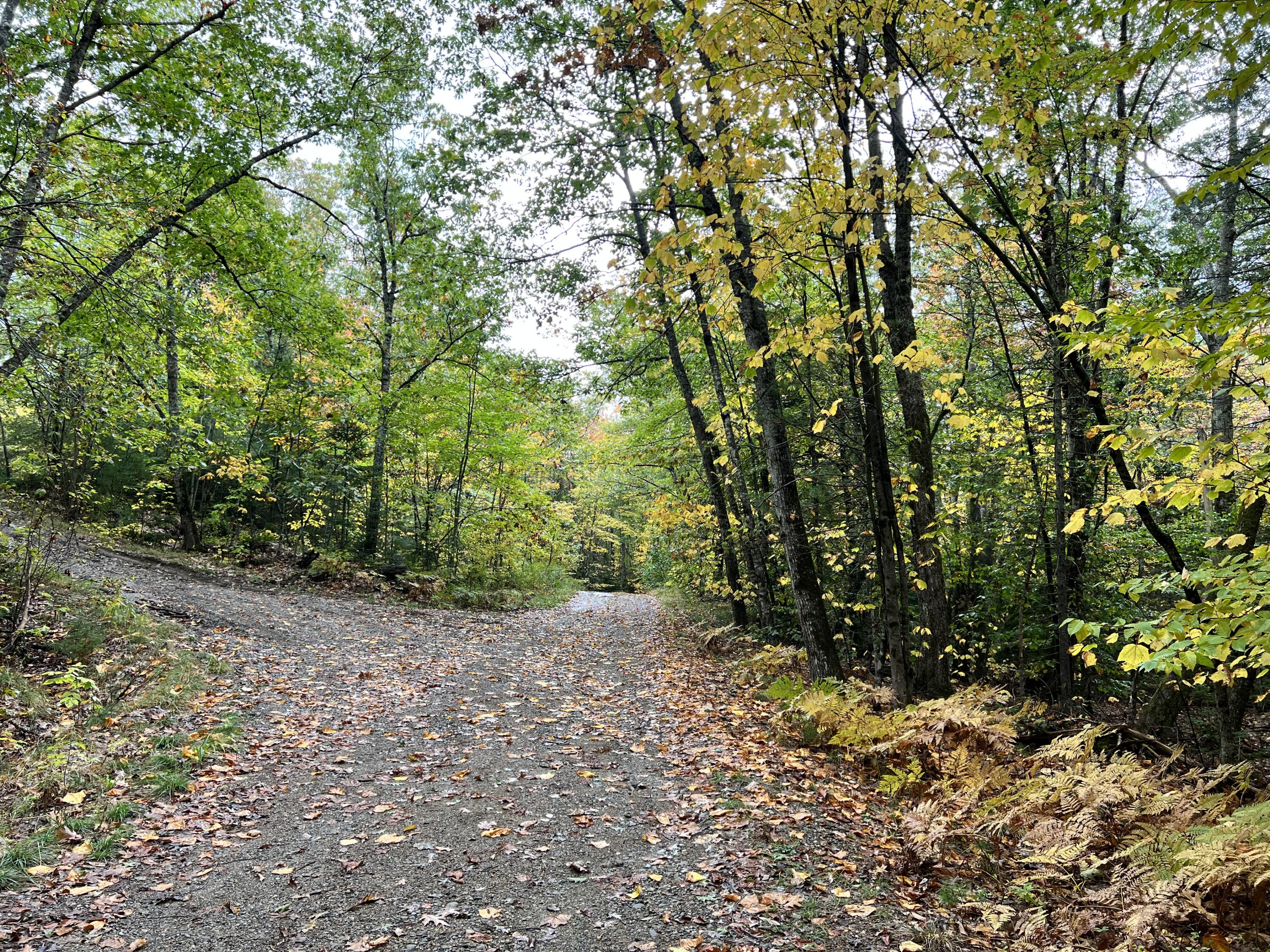 Lot 9 A Ridge Liberty, ME 04949 - Photo 5 of 11 IMG-6937