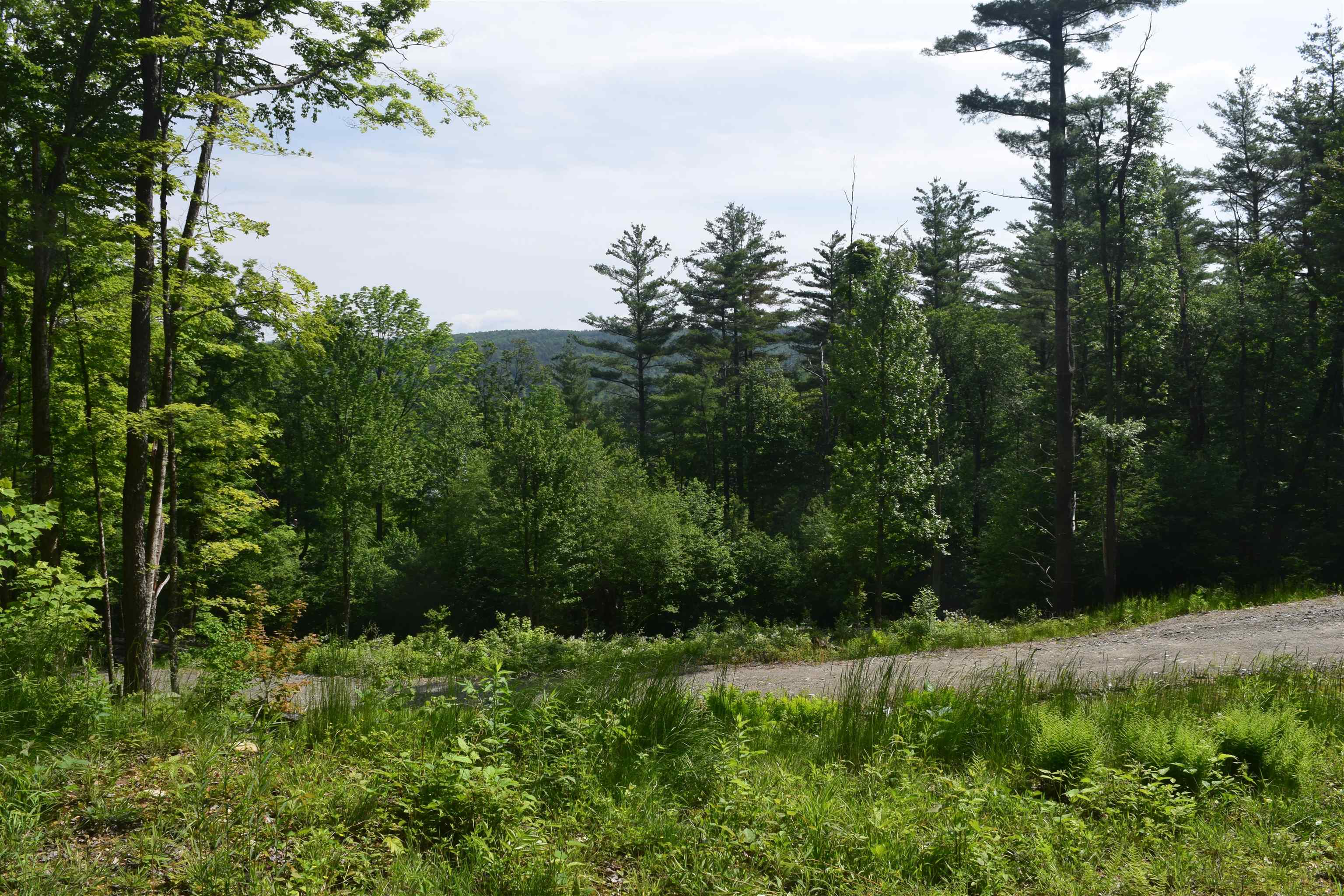 73 Stratton Arlington Road, Unit LOT #3 Wardsboro, VT 05360 - Photo 1 of 33