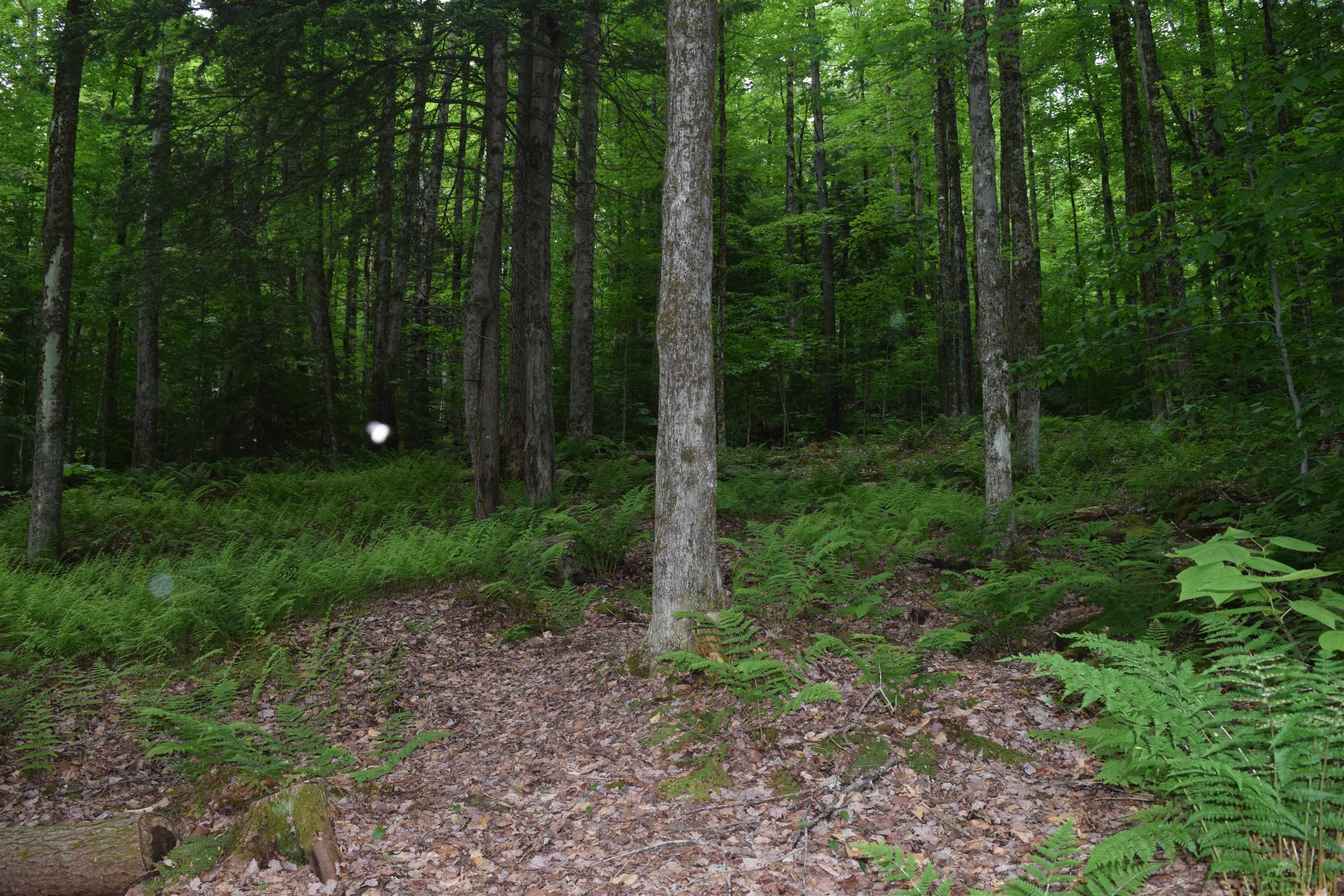 73 Stratton Arlington Road, Unit LOT #3 Wardsboro, VT 05360 - Photo 11 of 33