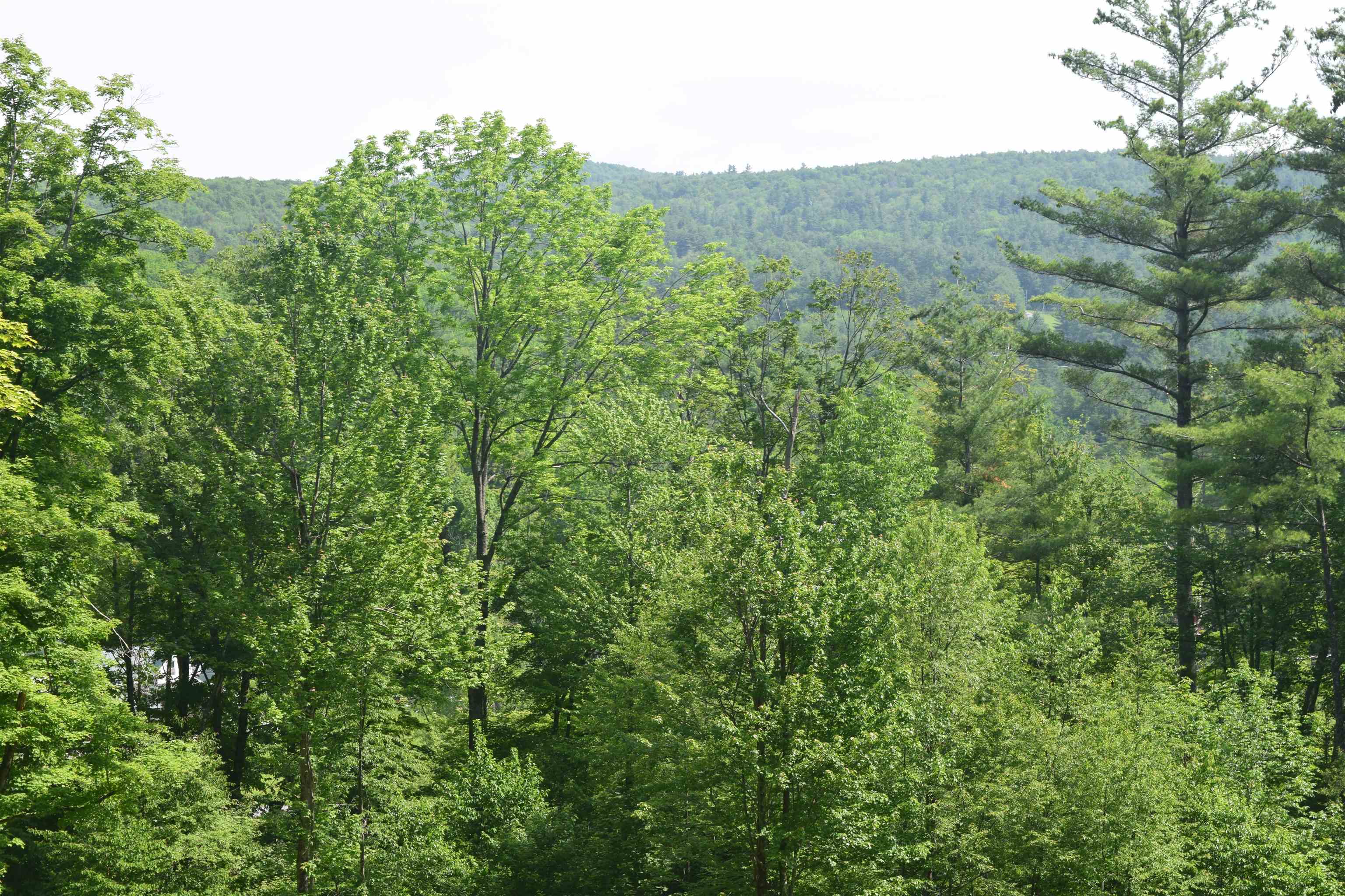 73 Stratton Arlington Road, Unit LOT #3 Wardsboro, VT 05360 - Photo 13 of 33
