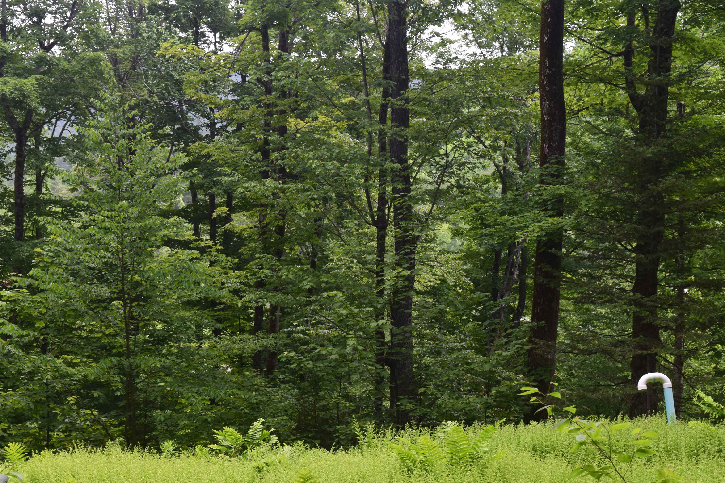 73 Stratton Arlington Road, Unit LOT #3 Wardsboro, VT 05360 - Photo 14 of 33