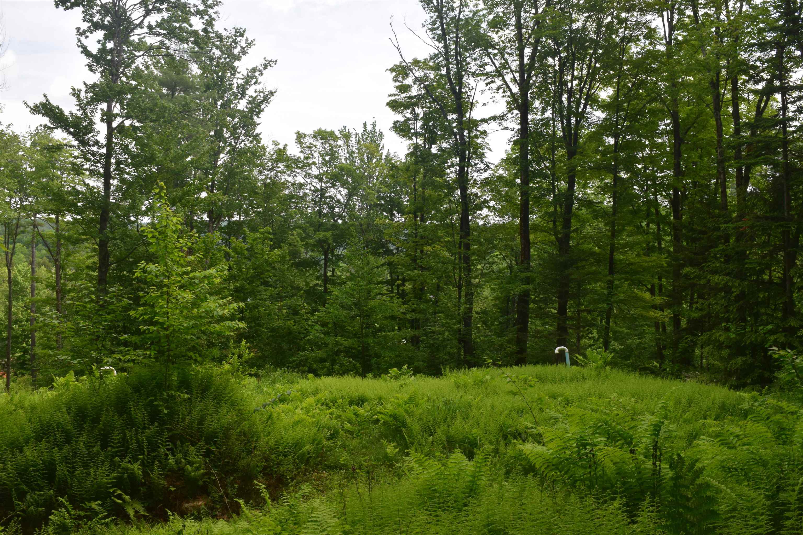 73 Stratton Arlington Road, Unit LOT #3 Wardsboro, VT 05360 - Photo 15 of 33