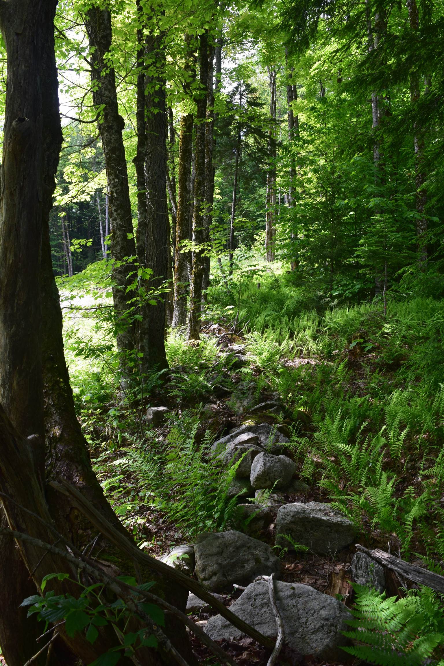 73 Stratton Arlington Road, Unit LOT #3 Wardsboro, VT 05360 - Photo 16 of 33