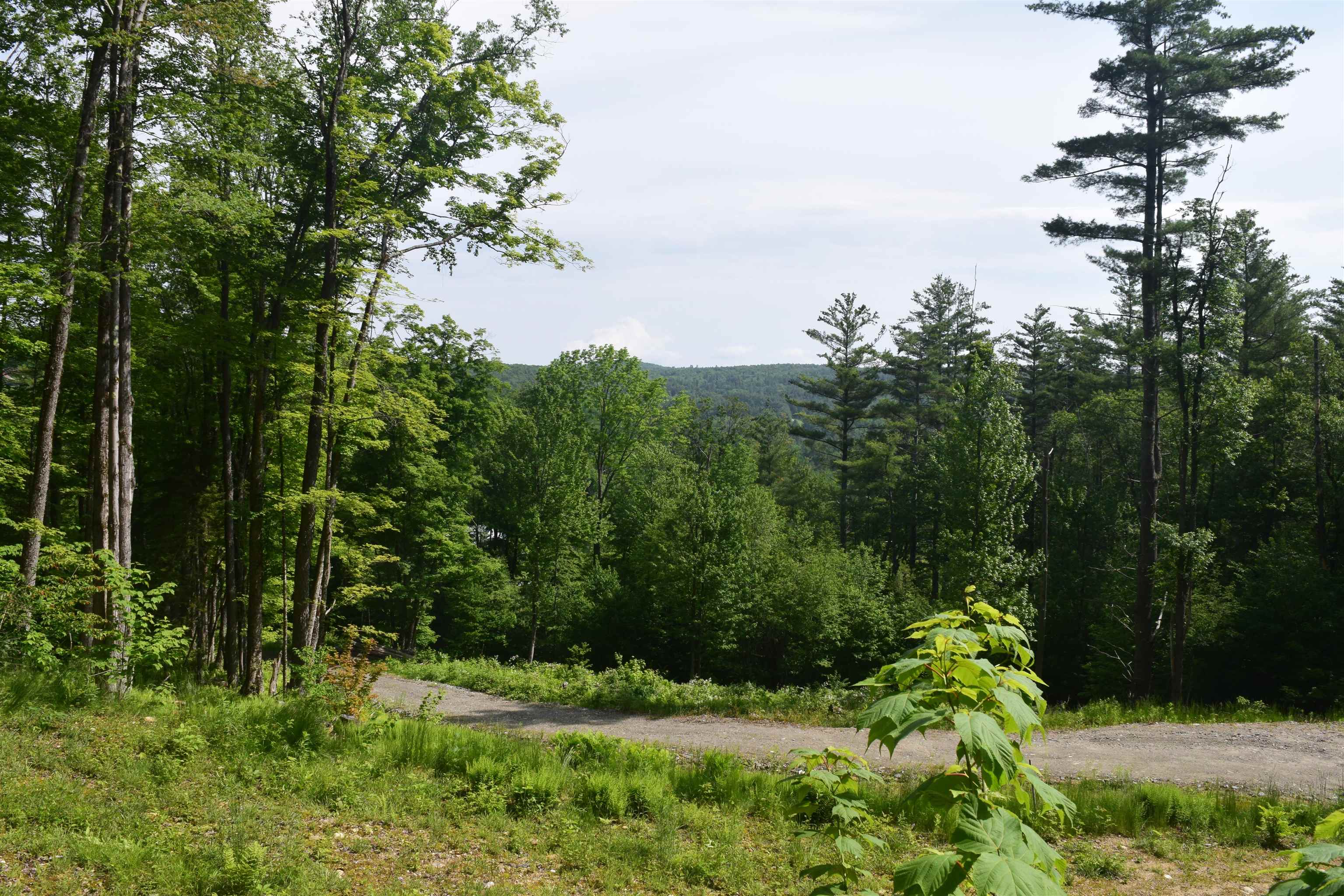 73 Stratton Arlington Road, Unit LOT #3 Wardsboro, VT 05360 - Photo 2 of 33