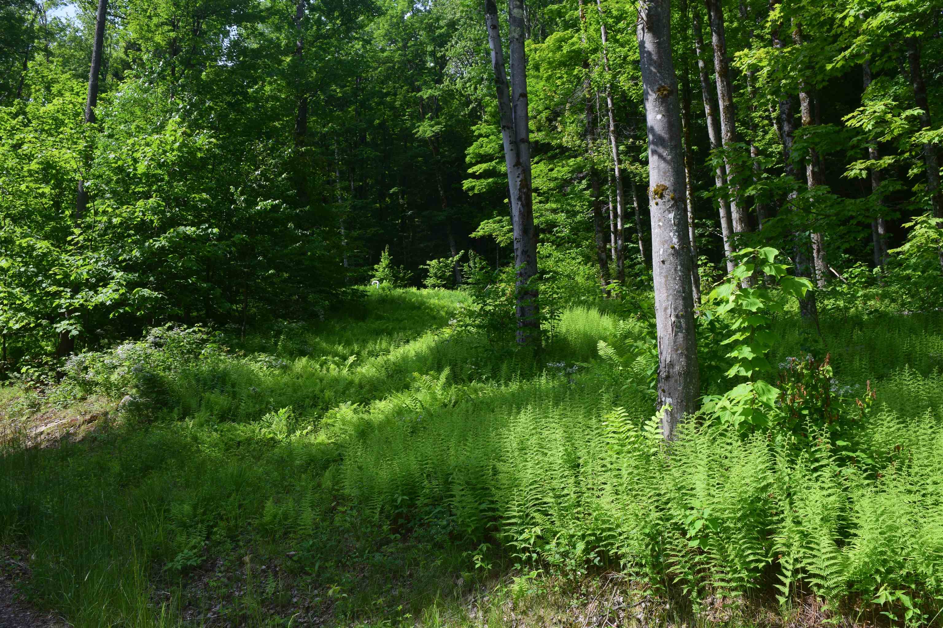 73 Stratton Arlington Road, Unit LOT #3 Wardsboro, VT 05360 - Photo 29 of 33