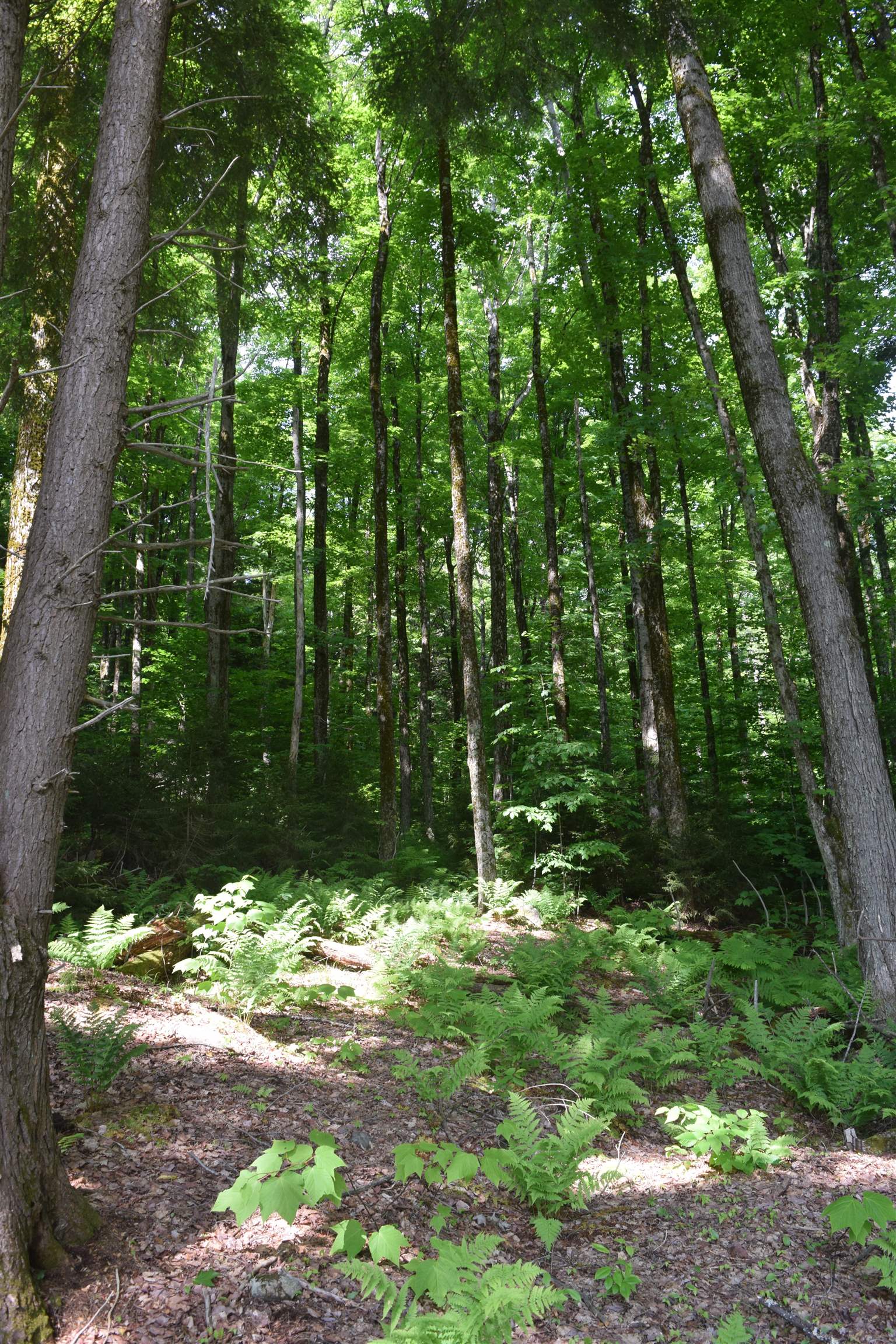 73 Stratton Arlington Road, Unit LOT #3 Wardsboro, VT 05360 - Photo 33 of 33