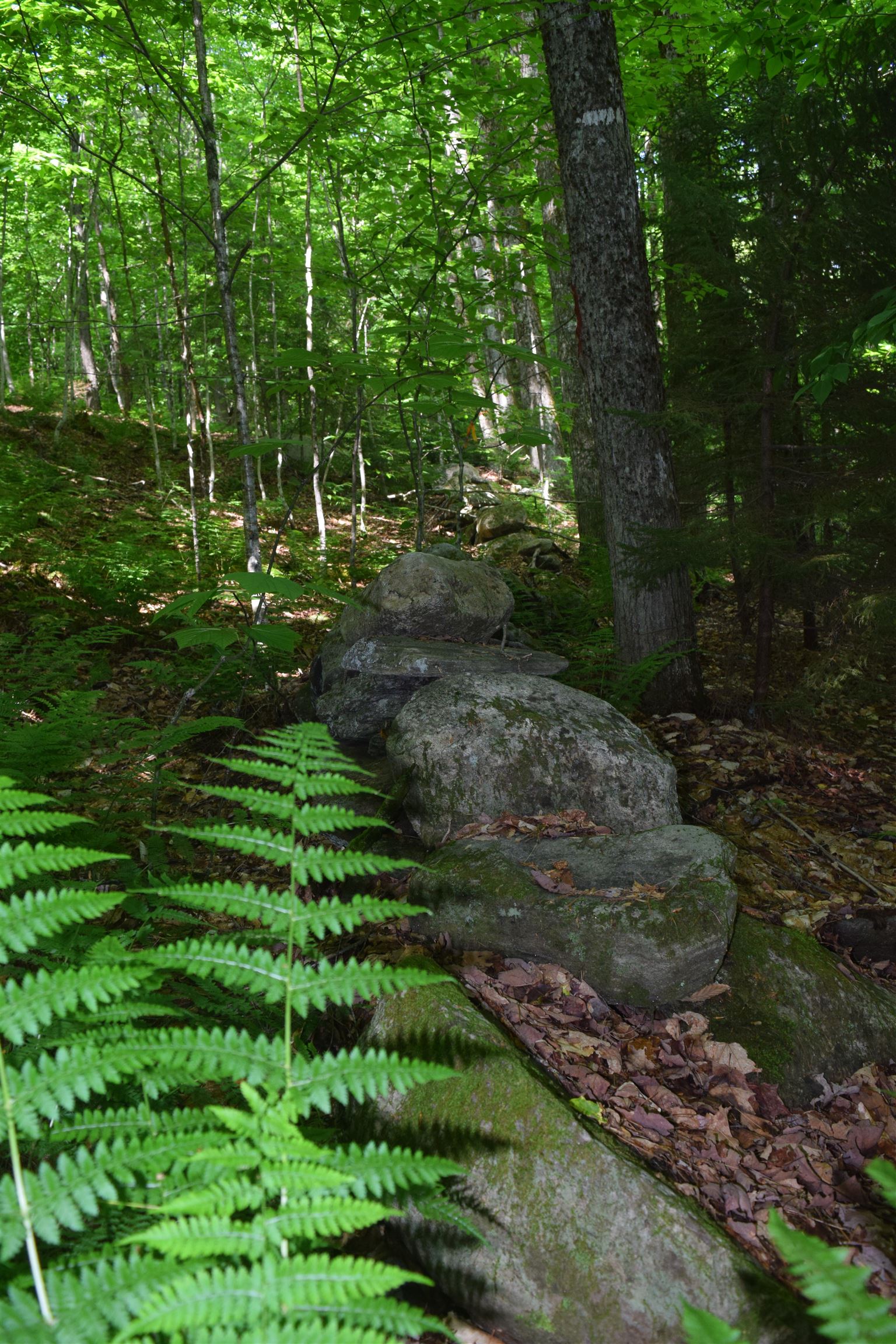 73 Stratton Arlington Road, Unit LOT #3 Wardsboro, VT 05360 - Photo 4 of 33