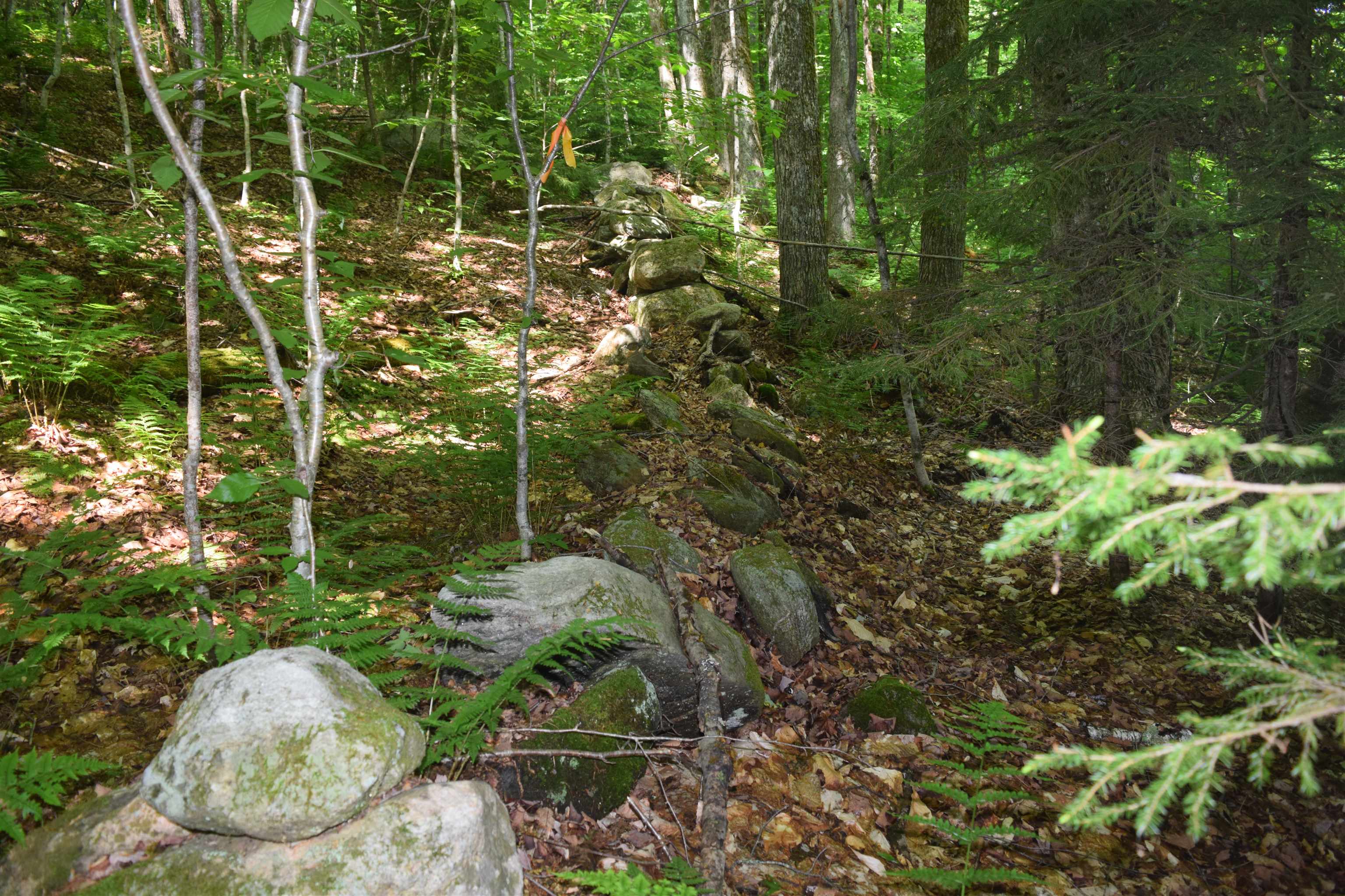 73 Stratton Arlington Road, Unit LOT #3 Wardsboro, VT 05360 - Photo 5 of 33