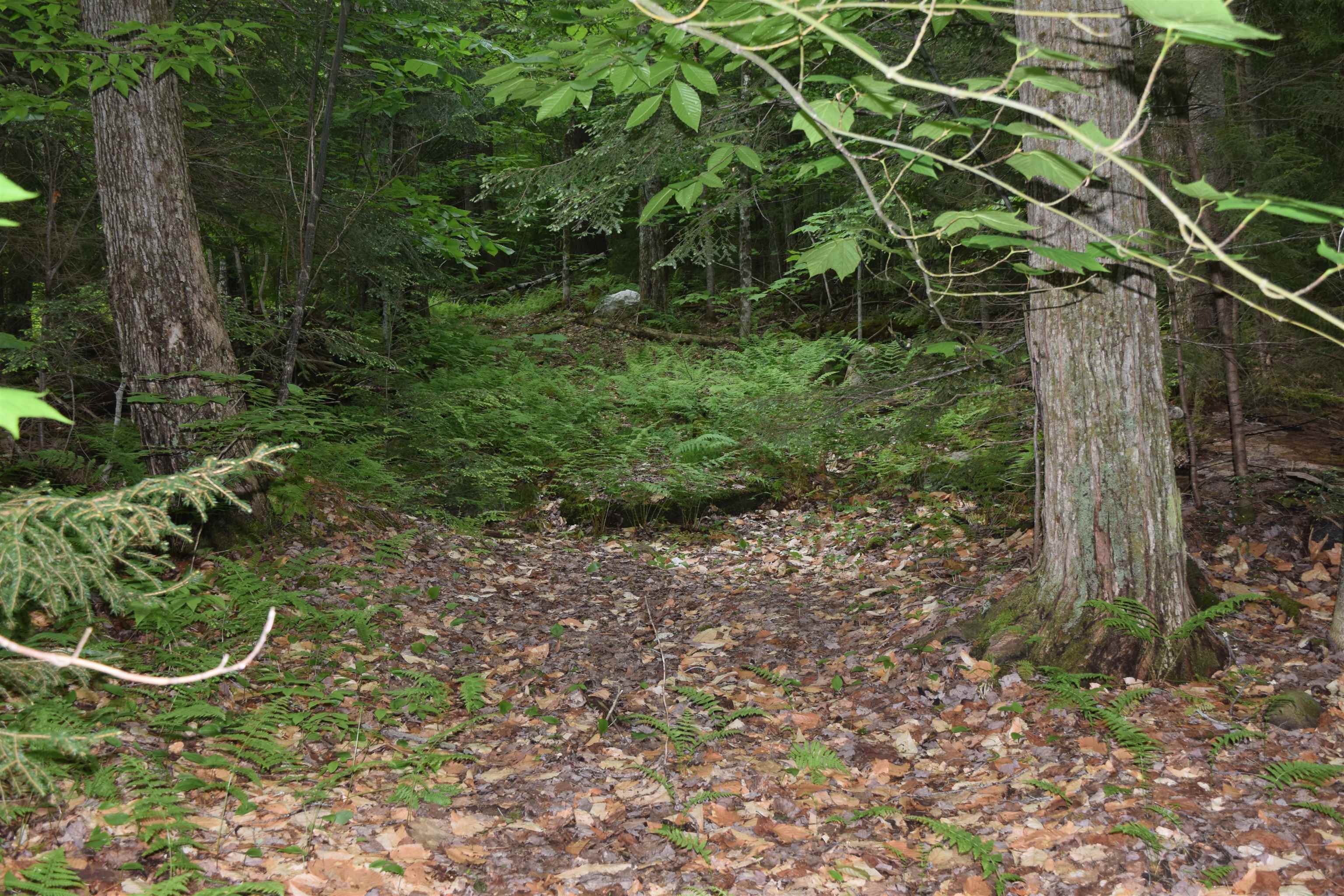 73 Stratton Arlington Road, Unit LOT #3 Wardsboro, VT 05360 - Photo 7 of 33