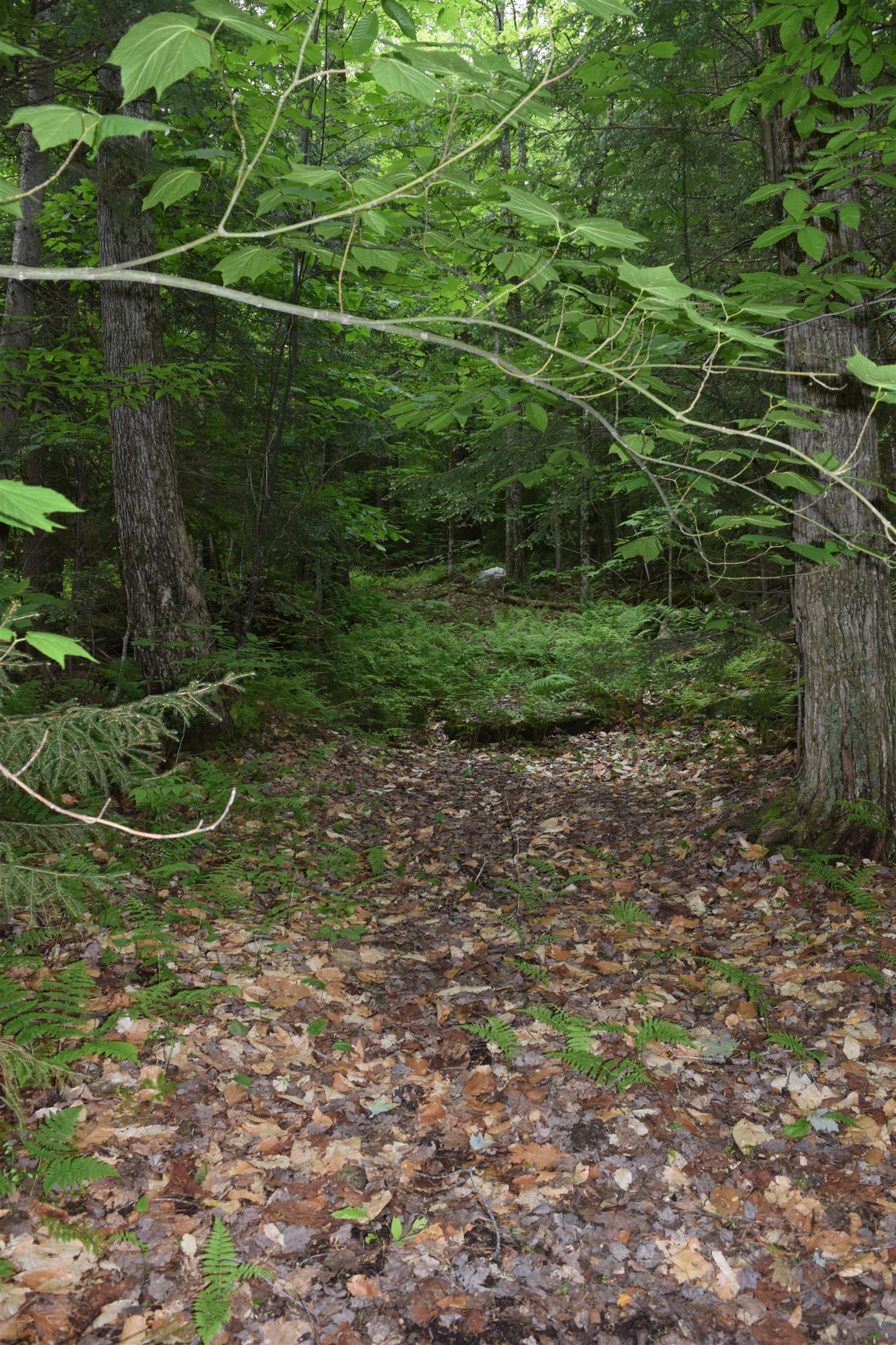 73 Stratton Arlington Road, Unit LOT #3 Wardsboro, VT 05360 - Photo 8 of 33