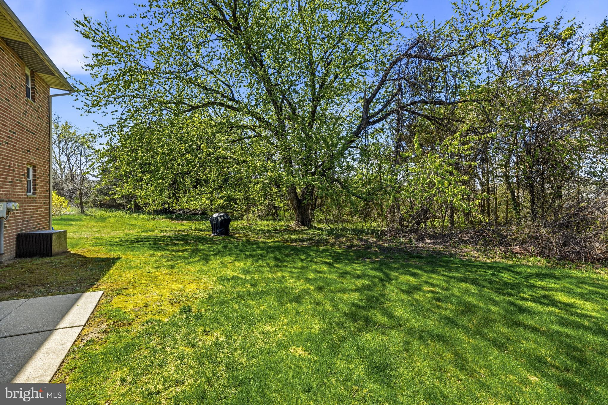 114 Eaves Mill Road Medford, NJ 08055 - Photo 17 of 20 Backs to Trees