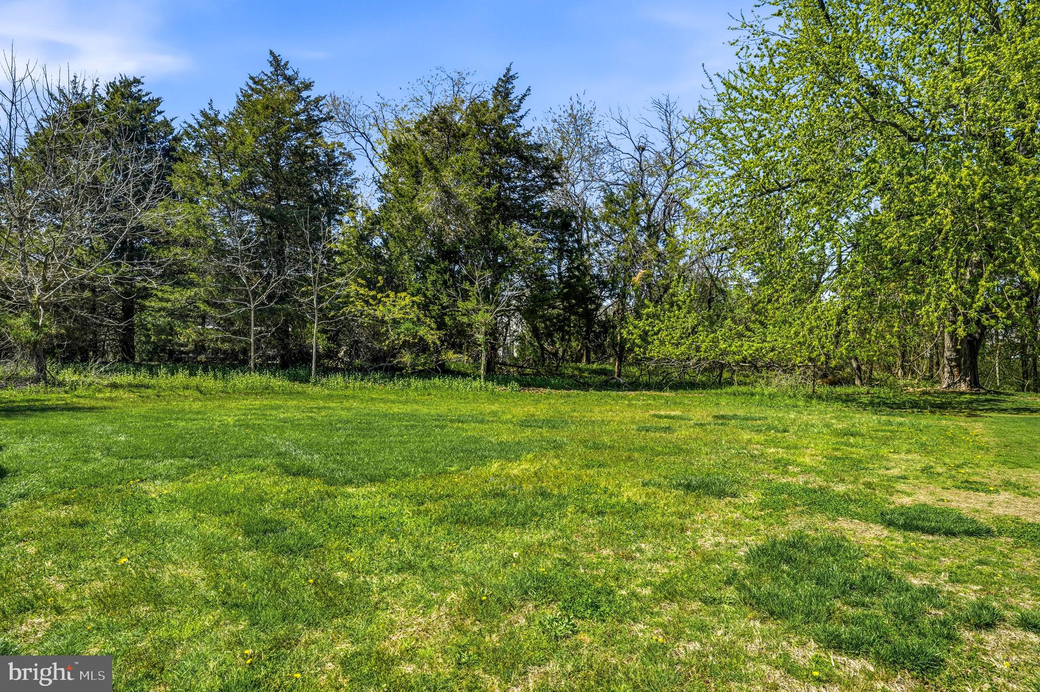 114 Eaves Mill Road Medford, NJ 08055 - Photo 19 of 20 Gallery Image 19