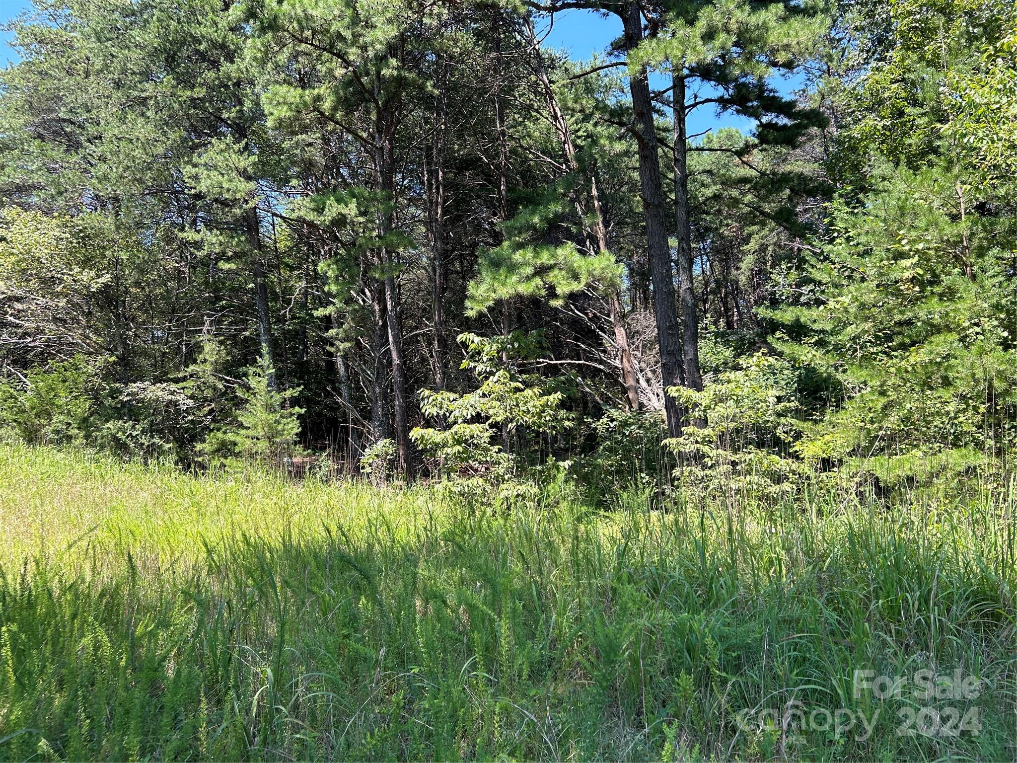 4560 Gilbert Road Vale, NC 28168 - Photo 14 of 17