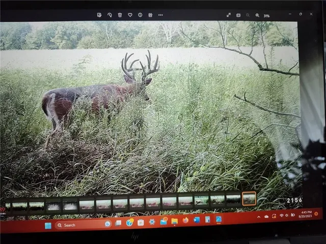 $378,000 | 34443 South Adams Road, Waverly, KS 66871