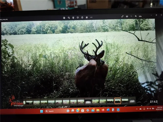 $378,000 | 34443 South Adams Road, Waverly, KS 66871