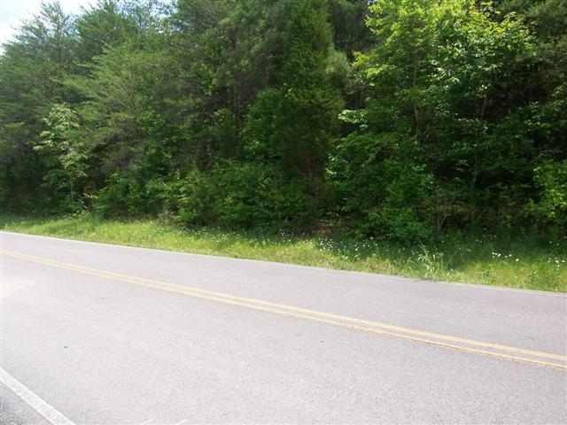 0 North No Pone Valley Road Decatur, TN 37322 - Photo 3 of 3