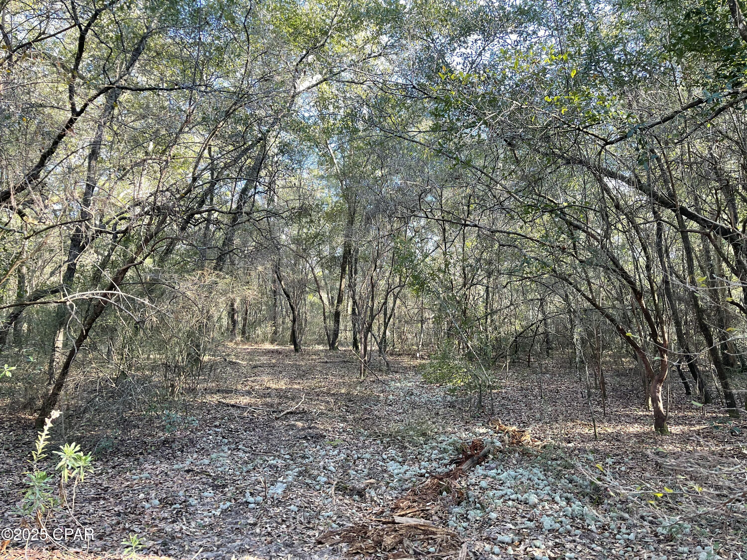 0 Bent Oaks Road Chipley, FL 32428 - Photo 6 of 21