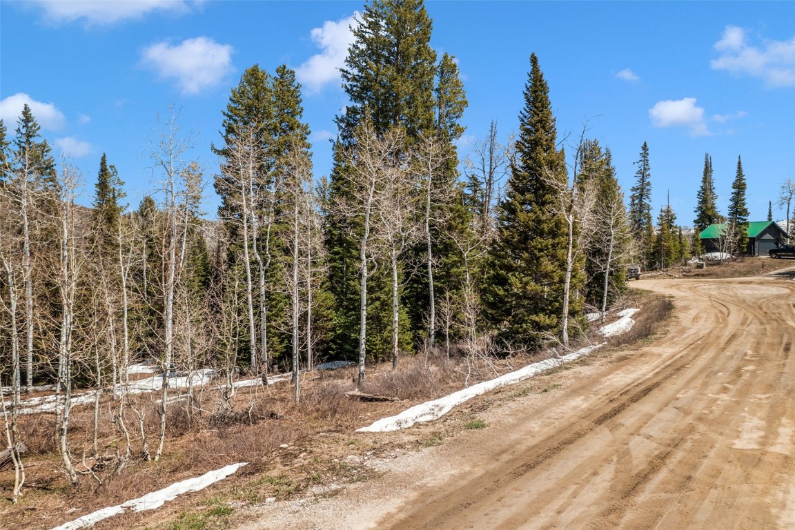57930 Jupiter Place Clark, CO 80428 - Photo 2 of 10 a view of a yard with trees
