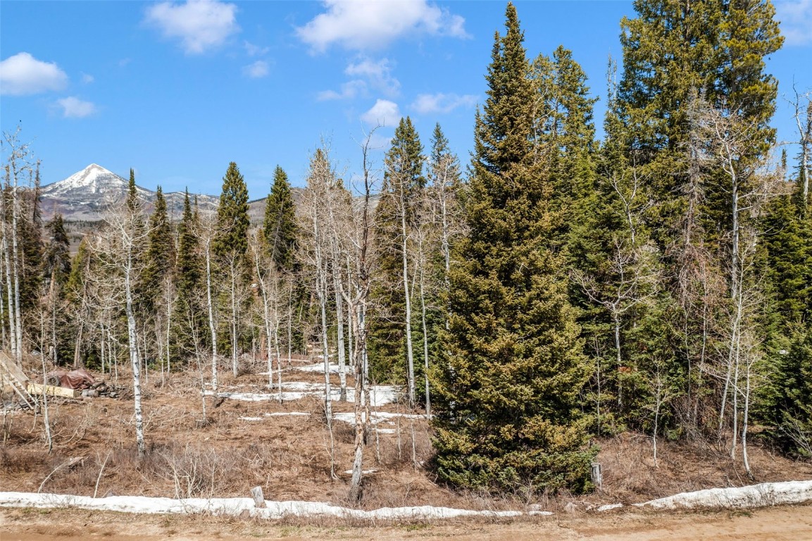 57930 Jupiter Place Clark, CO 80428 - Photo 4 of 10 a view of a forest with trees