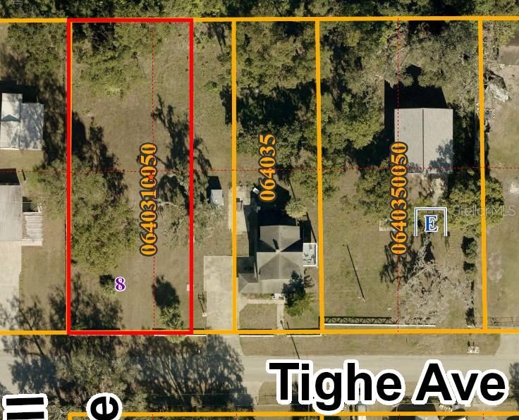 Tighe Street Seffner, FL 33584 - Photo 2 of 7