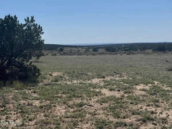 $32,900 | Lot 531 Woodland Valley Ranch, Unit 531, St. Johns, AZ 85936