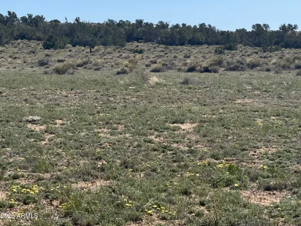 $32,900 | Lot 531 Woodland Valley Ranch, Unit 531, St. Johns, AZ 85936