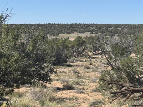 $32,900 | Lot 531 Woodland Valley Ranch, Unit 531, St. Johns, AZ 85936