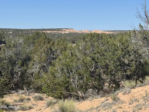 $32,900 | Lot 531 Woodland Valley Ranch, Unit 531, St. Johns, AZ 85936